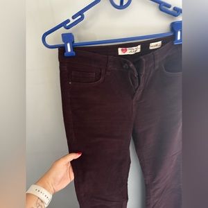 Dark claret red velvet pant